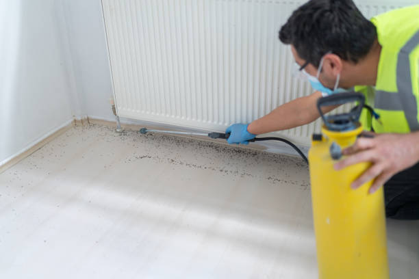 Best Affordable Pest Control Services  in Geva, NE